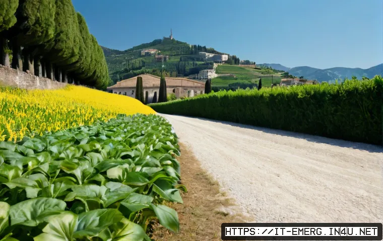 Mantenere l’abilitazione professionale in terapia occupazionale: casi di successo, metodo e scelta dei corsi 4 작업치료사의 자격 유지 관리 성공 사례 연구 관련 이미지 2